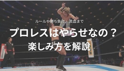 プロレスはやらせなのに何が面白いの？そんなあなたへ楽しみ方を解説！